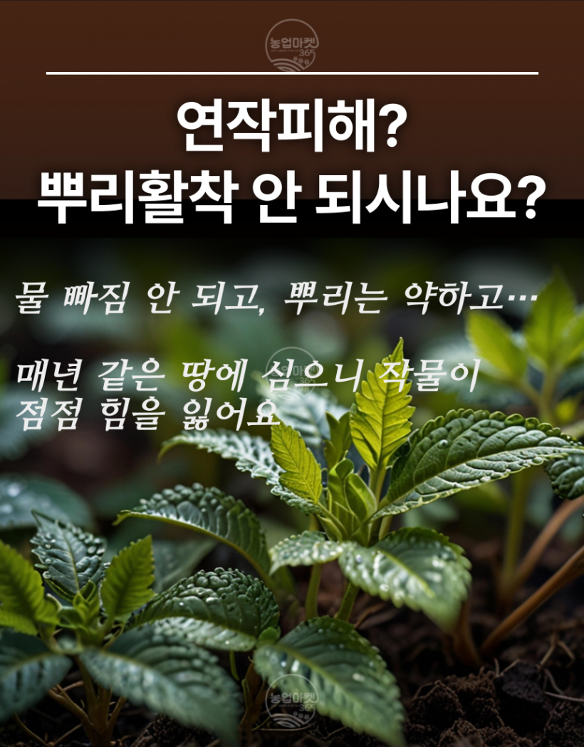 d84f46936d701d34672fb80ade3e9ccd_1745570642_1628.png