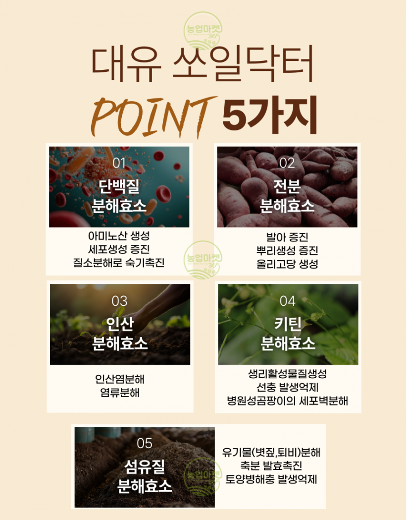 d84f46936d701d34672fb80ade3e9ccd_1745570642_3684.png