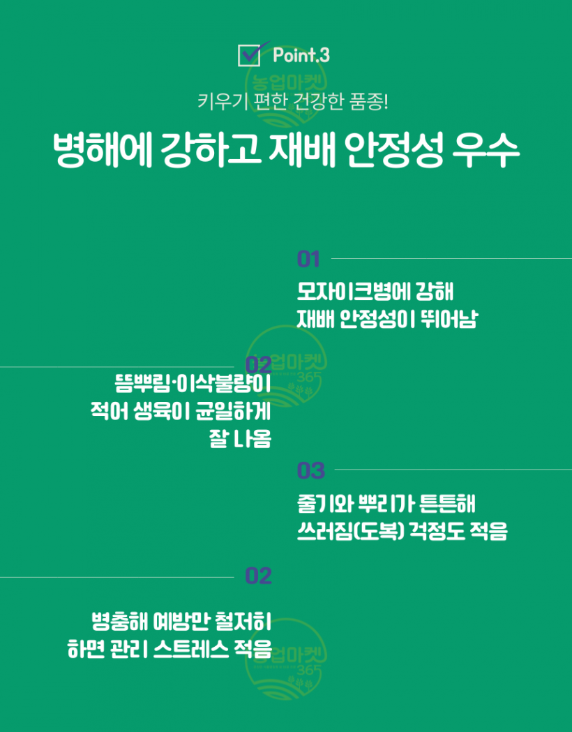 ed737d43017b953b4099443dbb233780_1744371223_627.png