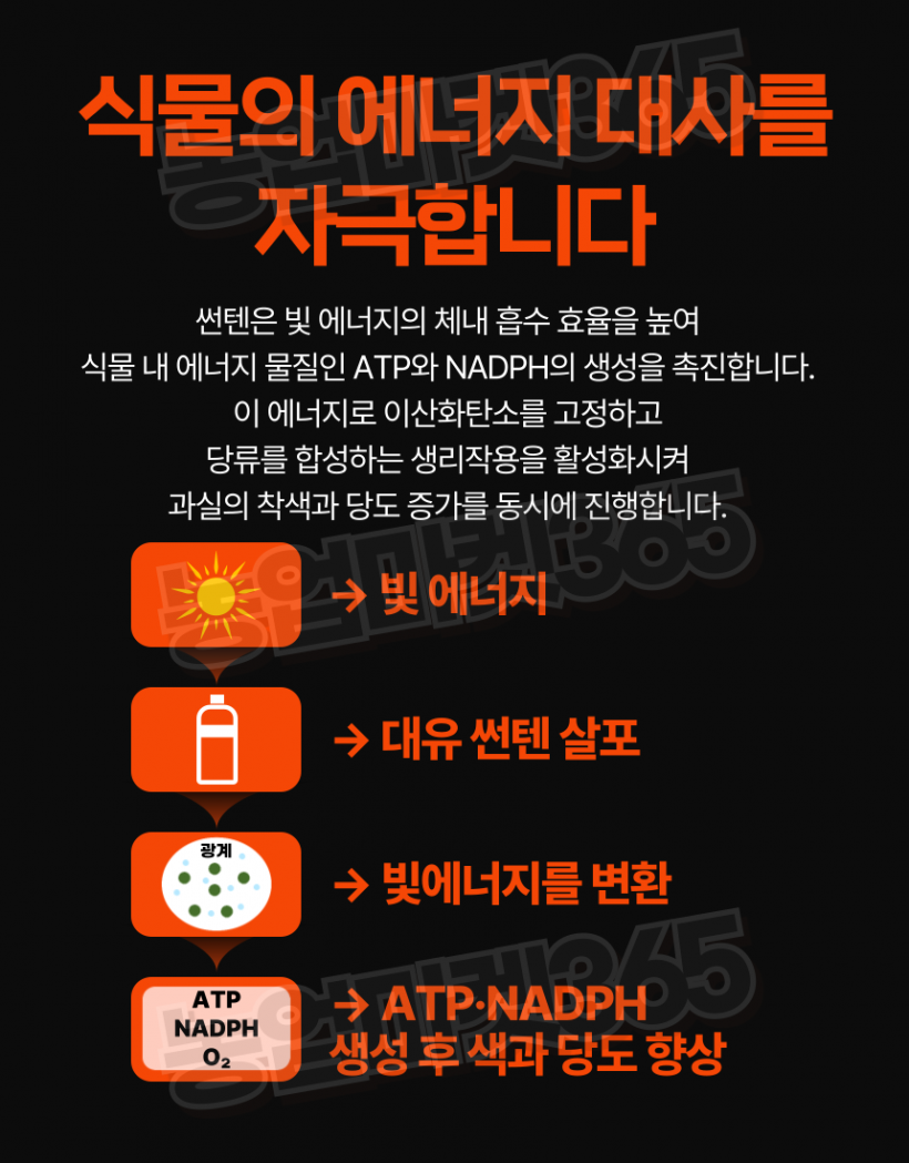 31a4bc197a0638d9f9f9a688eea10c0f_1750745378_5074.png