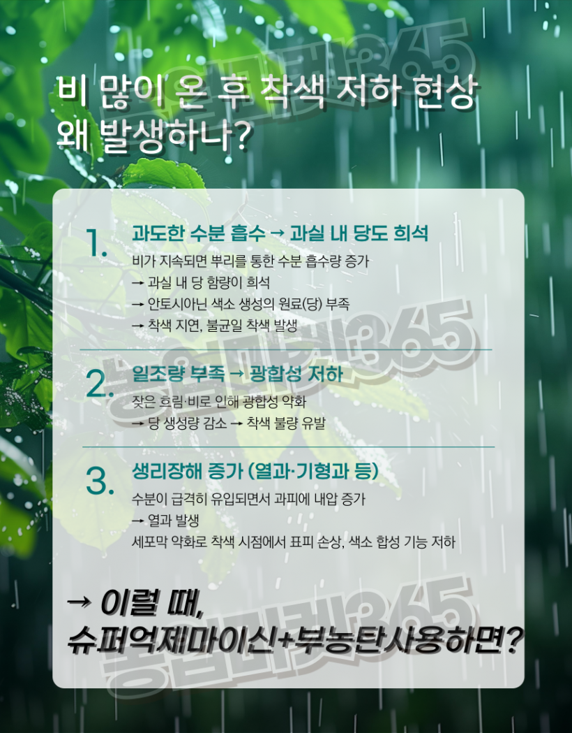 76a169280e621c1d2fffb380be9accfb_1751264404_0434.png