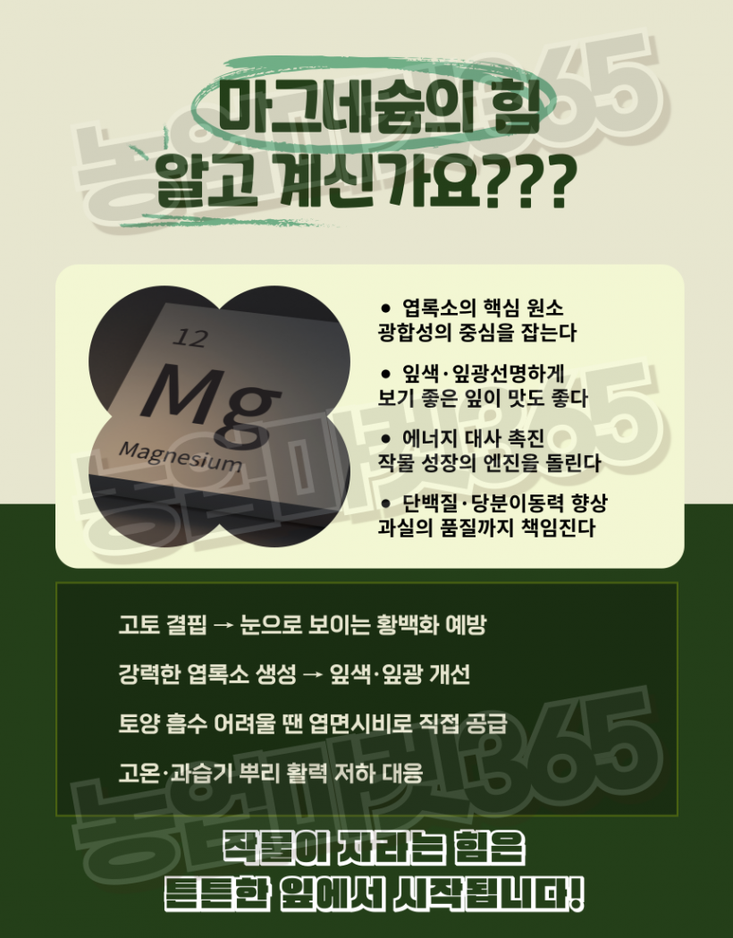 76a169280e621c1d2fffb380be9accfb_1751264578_7402.png