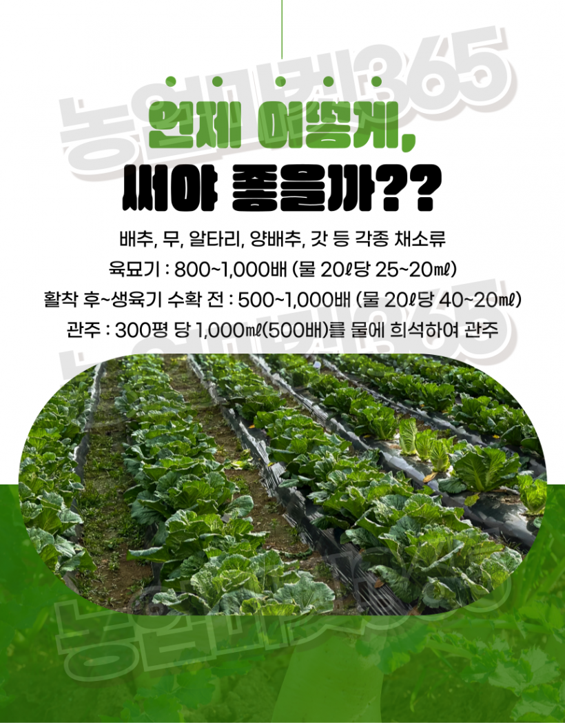 76a169280e621c1d2fffb380be9accfb_1751272087_6199.png