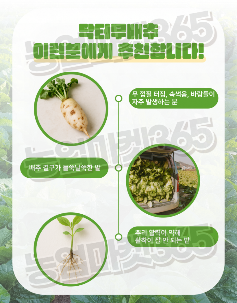 76a169280e621c1d2fffb380be9accfb_1751272087_7838.png
