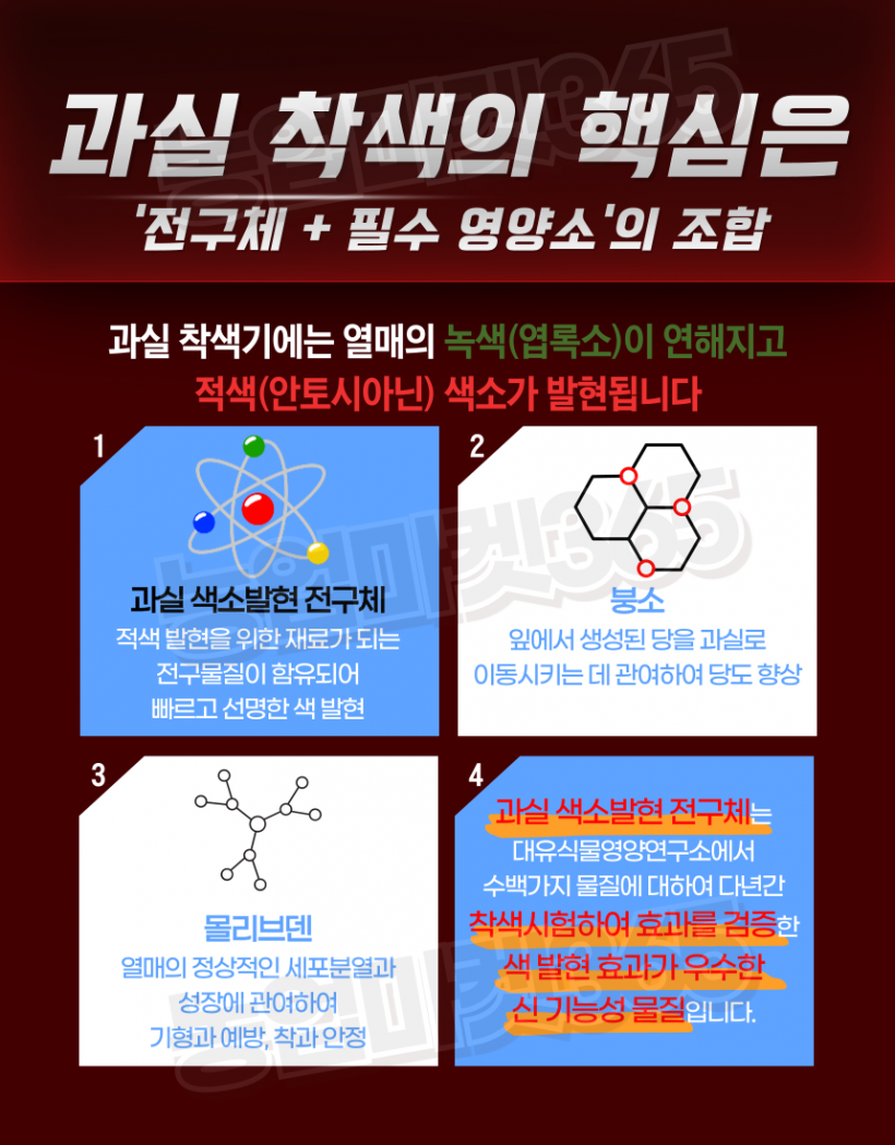 7e7cd9d96722a6a01c8789491381d00e_1750580415_9649.png