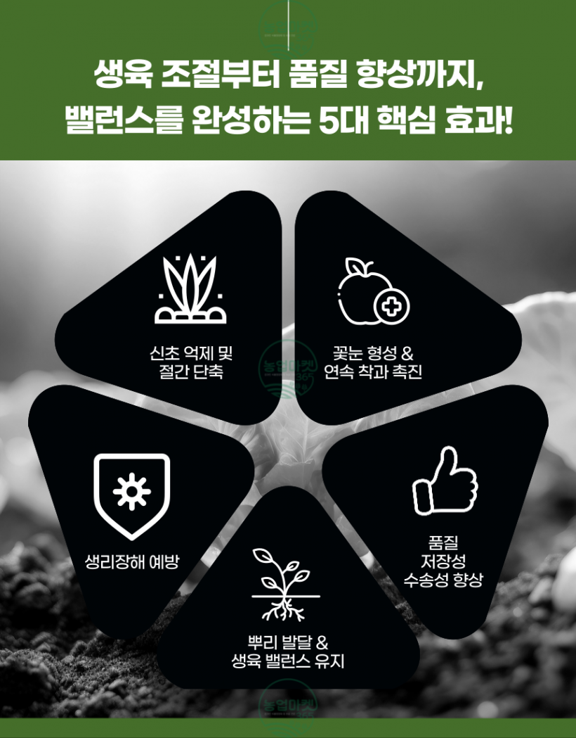 9abdd5cd866d8cd0d4b21eabf98b6305_1750132552_1891.png