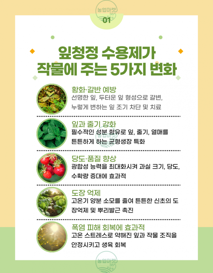 9abdd5cd866d8cd0d4b21eabf98b6305_1750132642_3751.png