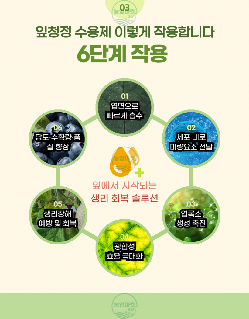 9abdd5cd866d8cd0d4b21eabf98b6305_1750132642_5511.png