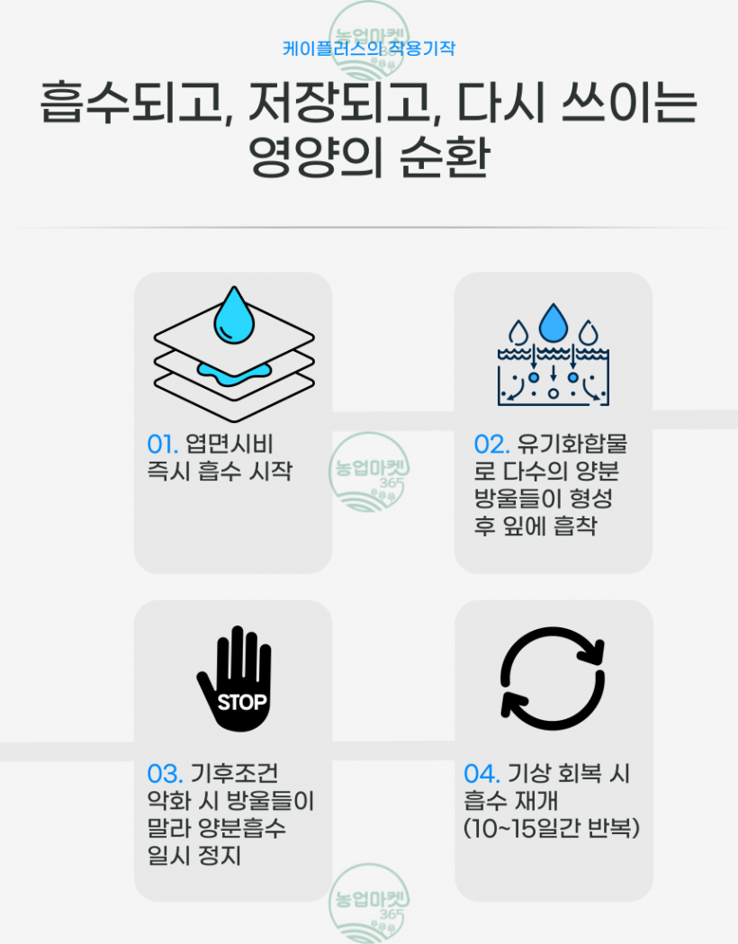 9abdd5cd866d8cd0d4b21eabf98b6305_1750132714_8735.png