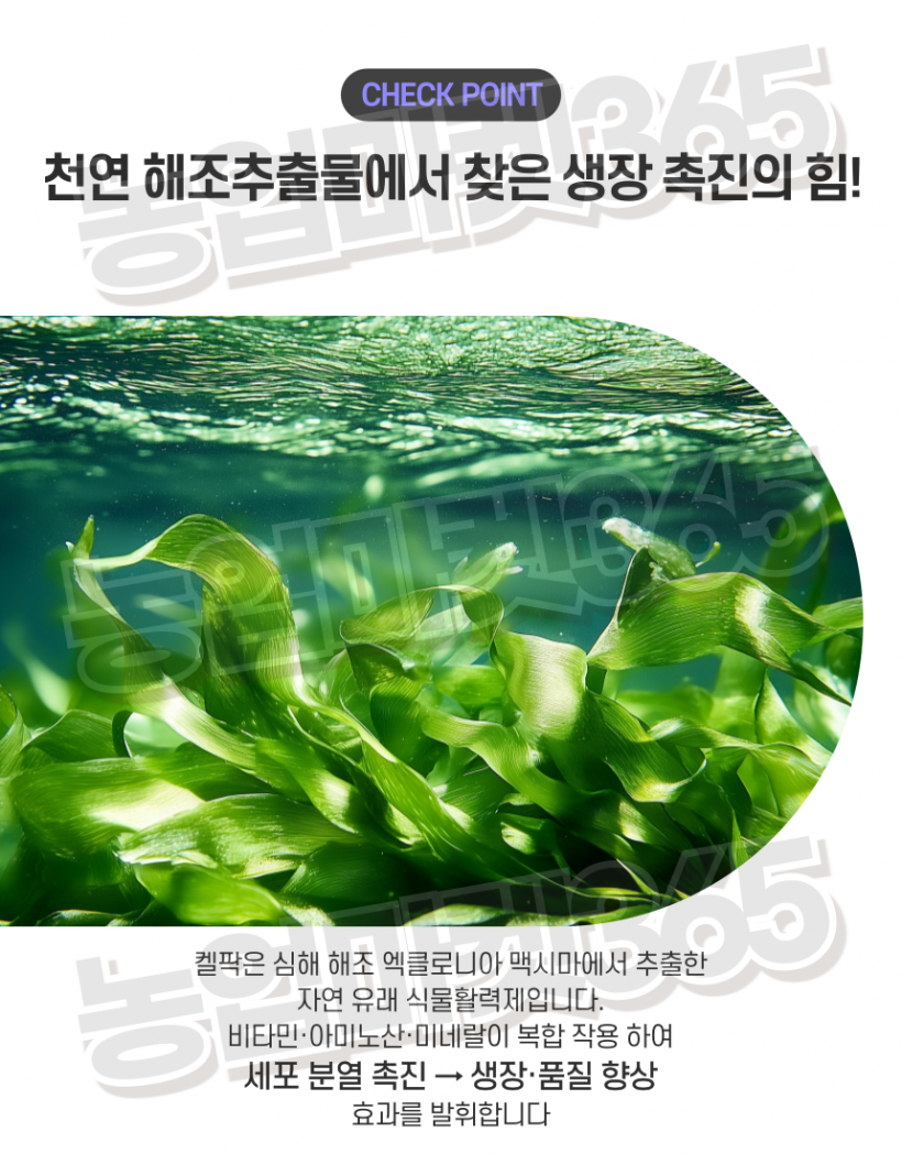 c9a76a4ee402a183442ad2864d5efa8f_1751963656_2487.png