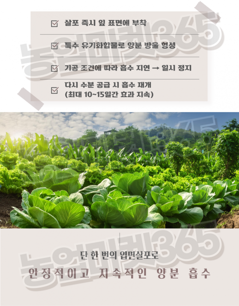 c9a76a4ee402a183442ad2864d5efa8f_1751963662_5979.png