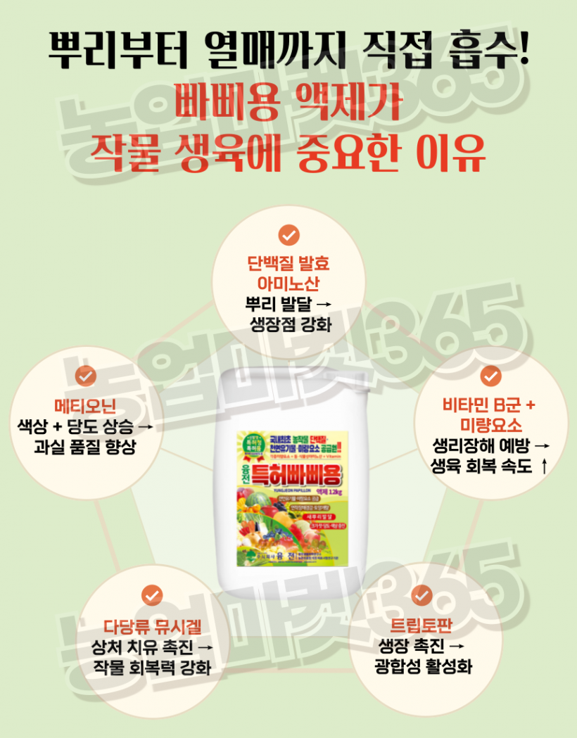 e250c881f05e3c14dea3afa4c8083de2_1752044140_7352.png