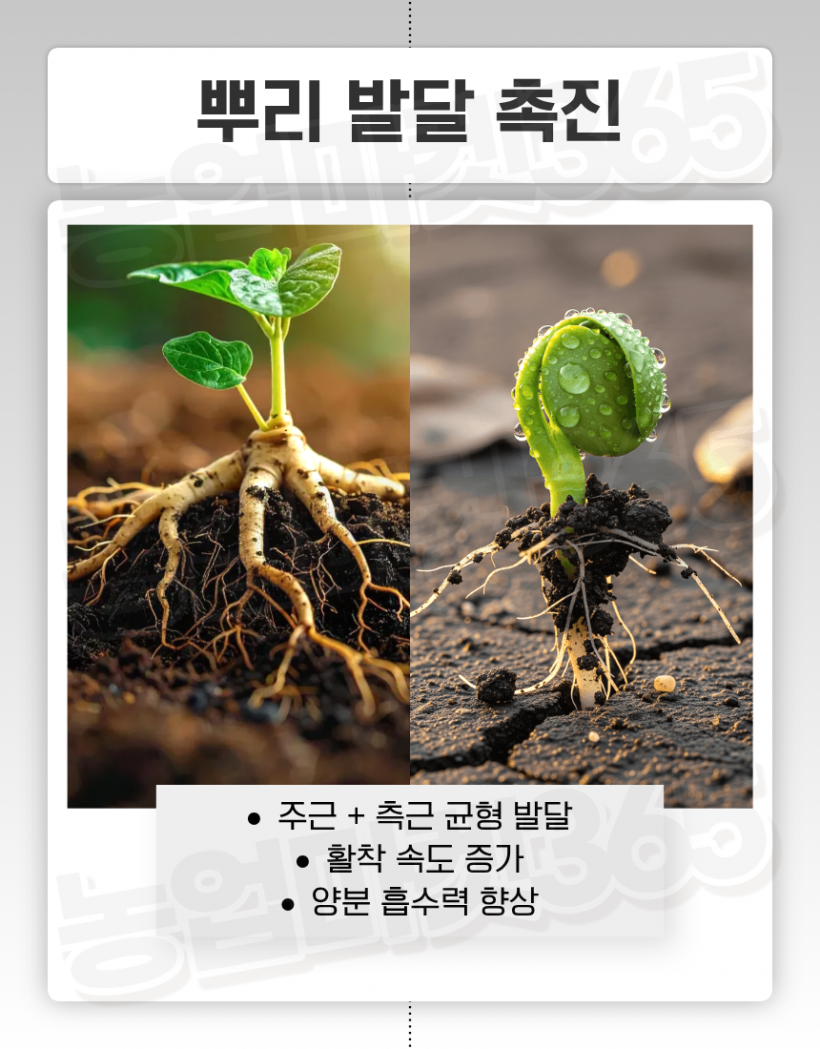 5a2c94bb1aaaa67bd6233527eaea240a_1774589149_209.png