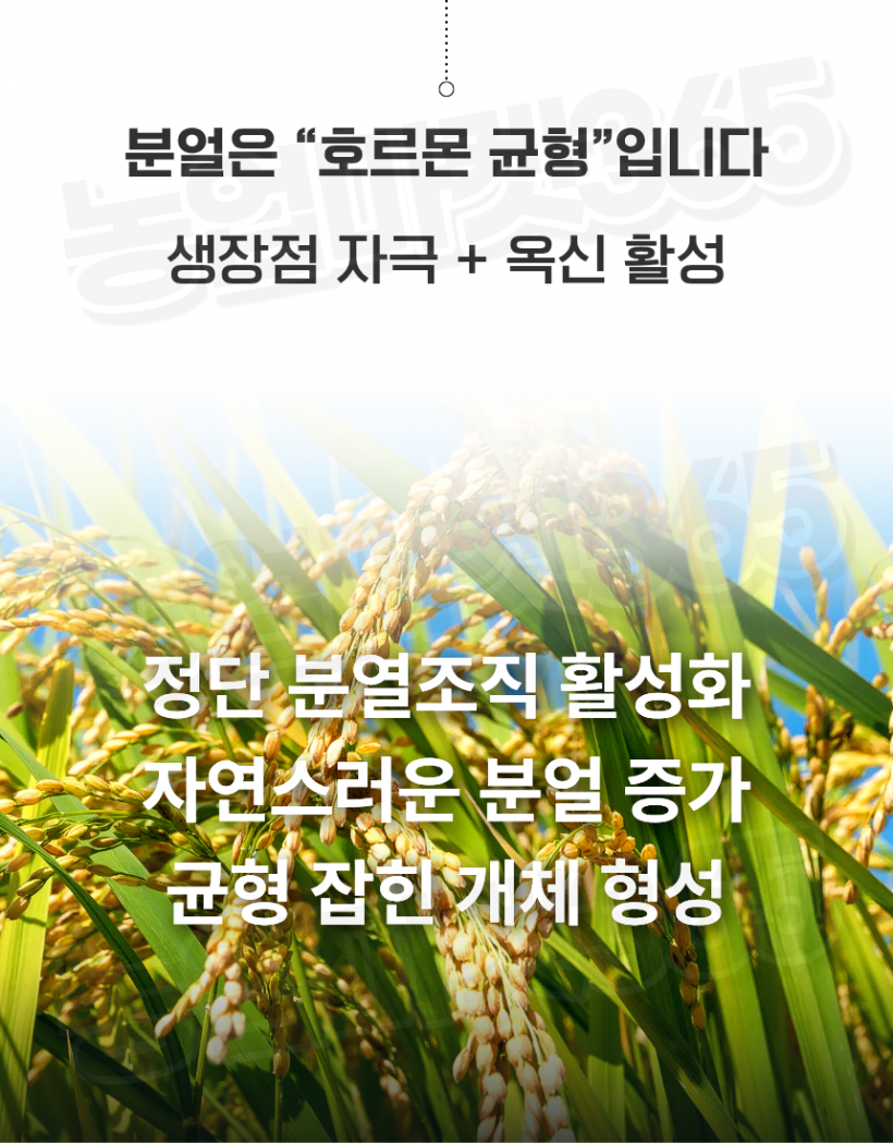 5a2c94bb1aaaa67bd6233527eaea240a_1774589149_404.png