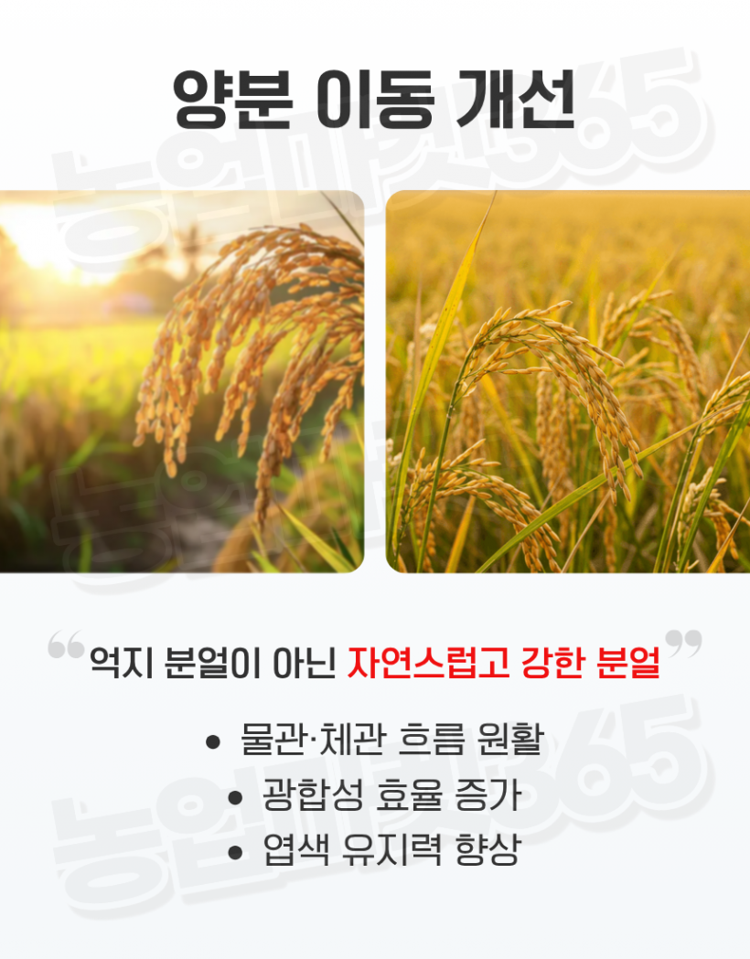 5a2c94bb1aaaa67bd6233527eaea240a_1774589149_5556.png