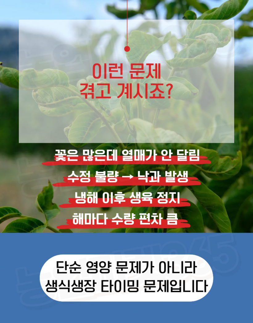 b30e96879a78ef03b8a8a247617938c8_1774429855_5721.png