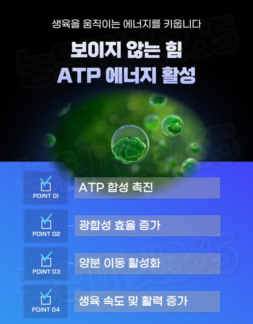 b30e96879a78ef03b8a8a247617938c8_1774429856_1779.png