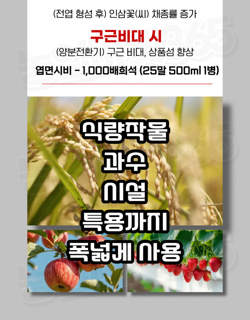 b30e96879a78ef03b8a8a247617938c8_1774429861_8834.png