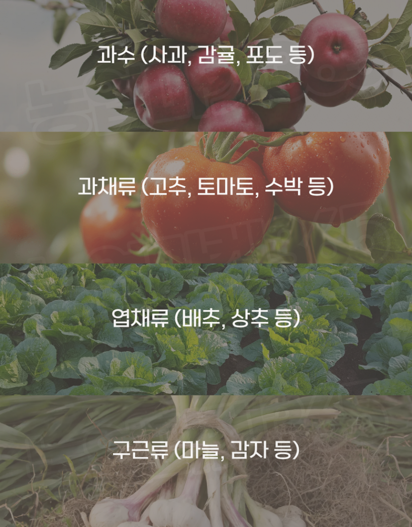 66fc506574fde1244796b1f932815a81_1775035069_5751.png