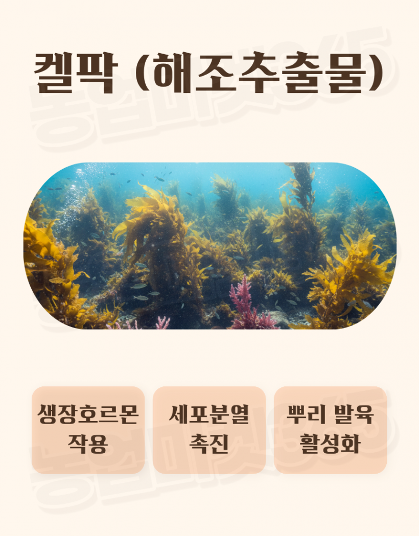 730adb62c3bd39e94173c6592601f1f7_1776402448_1521.png