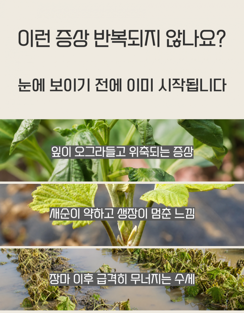 28fbbd170b8ff3c565d9e52ce471a0da_1779777442_753.png