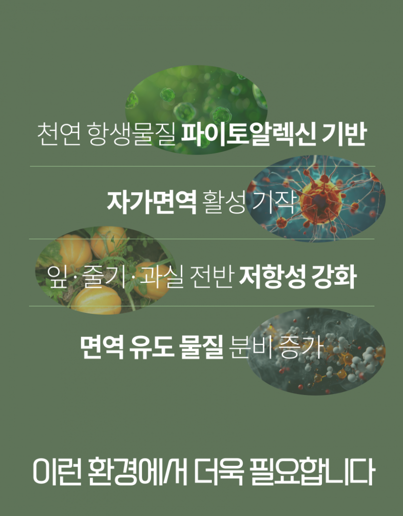 28fbbd170b8ff3c565d9e52ce471a0da_1779777447_6936.png