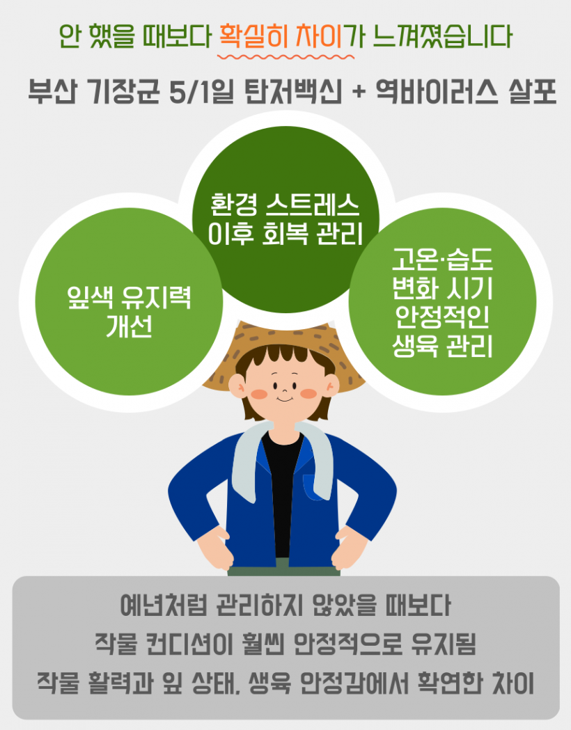 3ab0bd0dcb318c006391c9f3a1606d4e_1779170380_9176.png