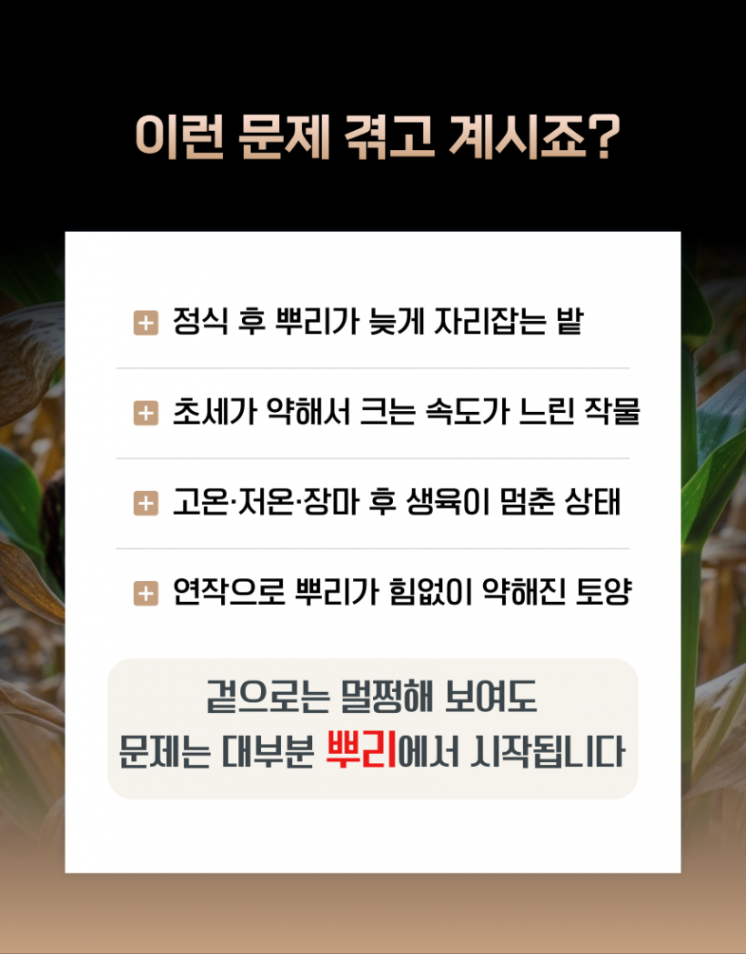 b14fb081920867c8b1ea5ce499859406_1778215783_4927.png