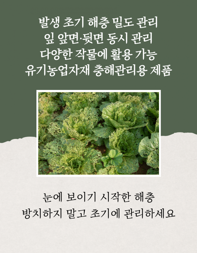 b75c16f8f6c4a4e5a6a337167f10dae9_1779958792_5041.png