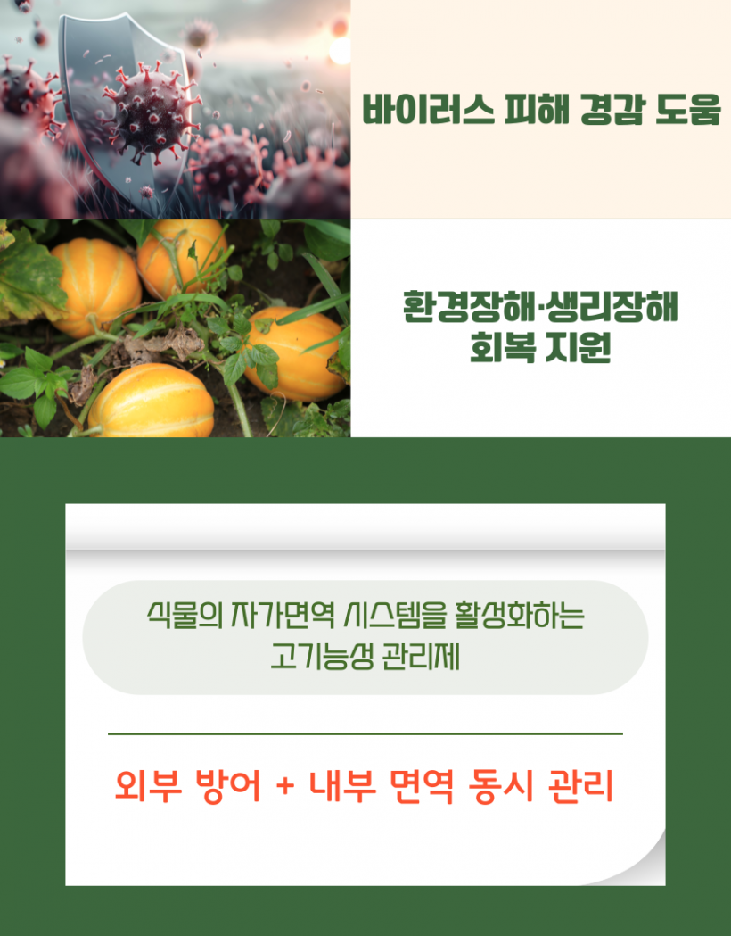 ca2716542eebb1599d25ec05f98cfc59_1779342315_2524.png