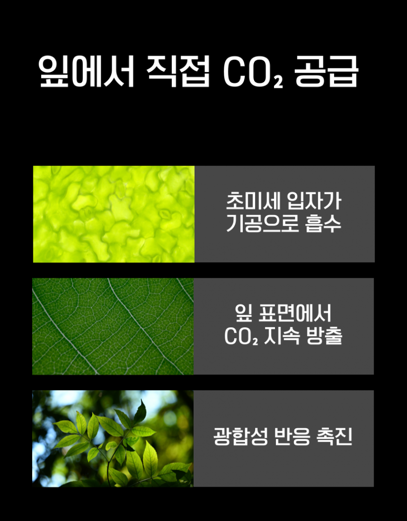 e005a77b4c109b567ee74f48404c8e17_1778192629_8142.png