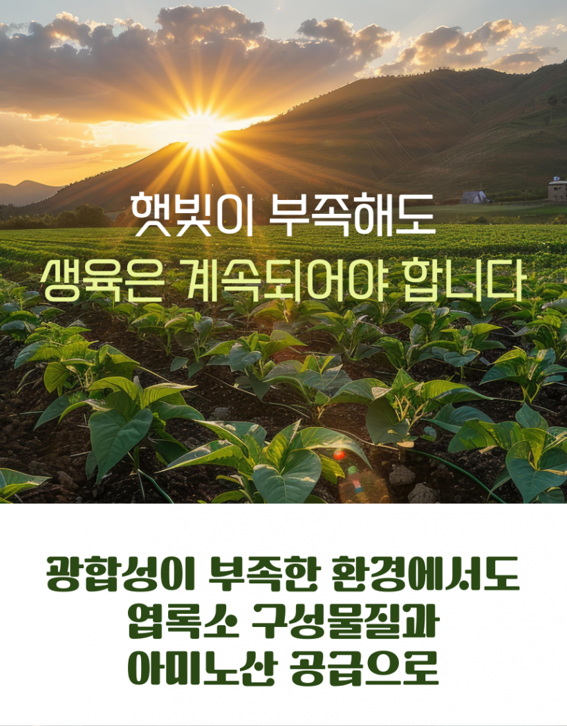 37a6f1c5795fa884ac5719adc31e6773_1782436840_3157.png