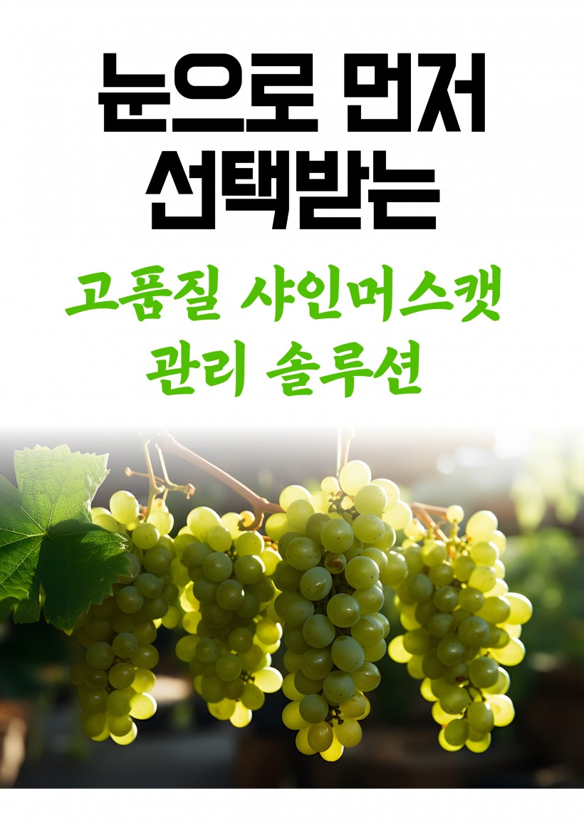 3fd5acc9600b9b4097f8e82ee10504a8_1781069145_9162.jpg