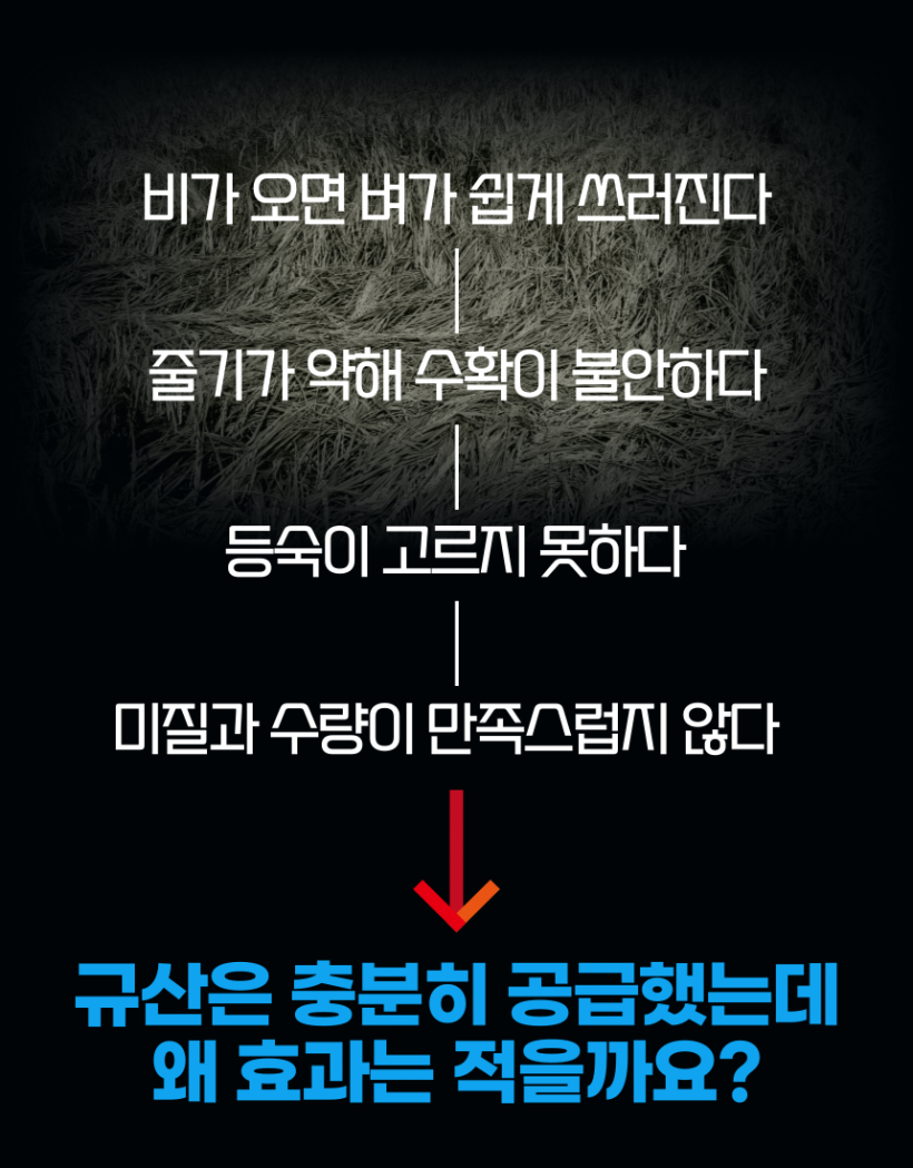 4bff489e08a316b3c68a770d0507d370_1781581531_5268.png