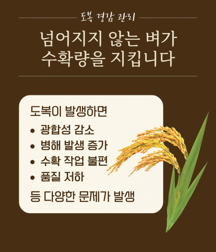 b8396be96d041ae7de185c3d31b7418f_1780991607_2992.png