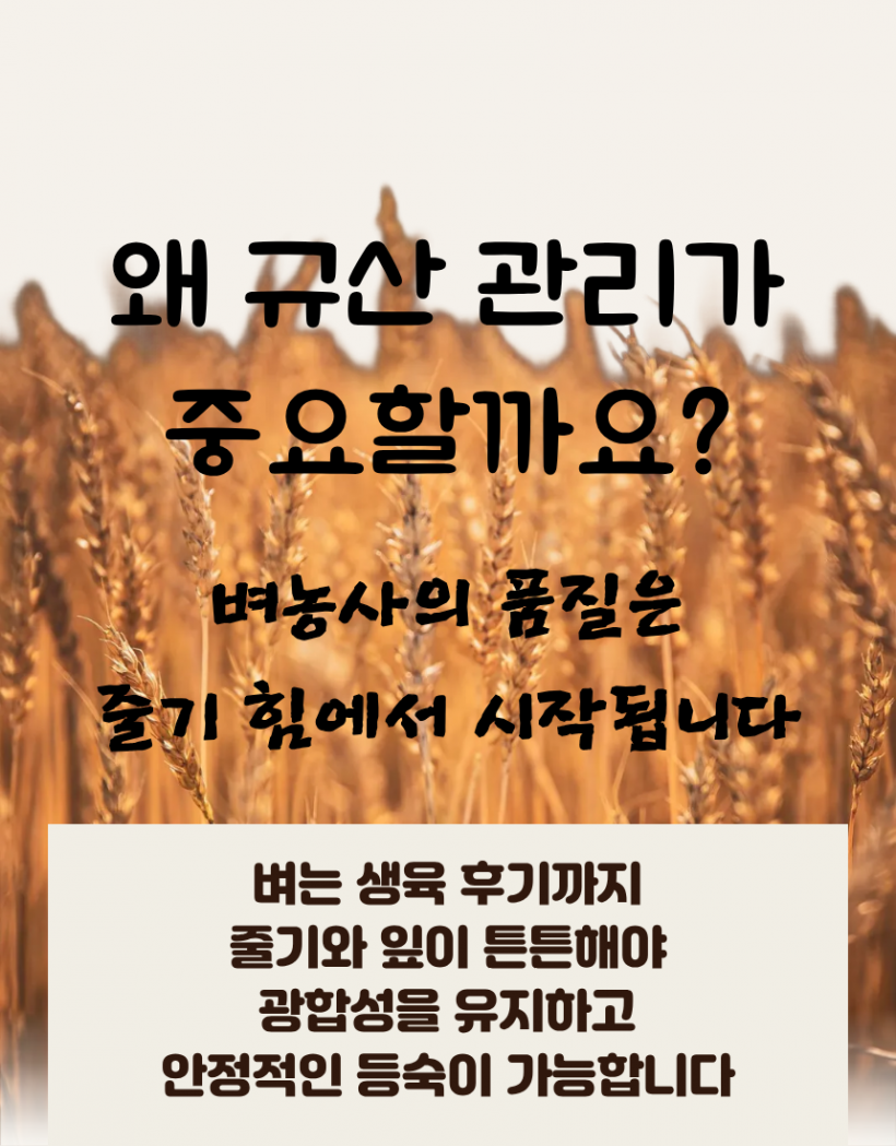 b8396be96d041ae7de185c3d31b7418f_1780991659_2216.png