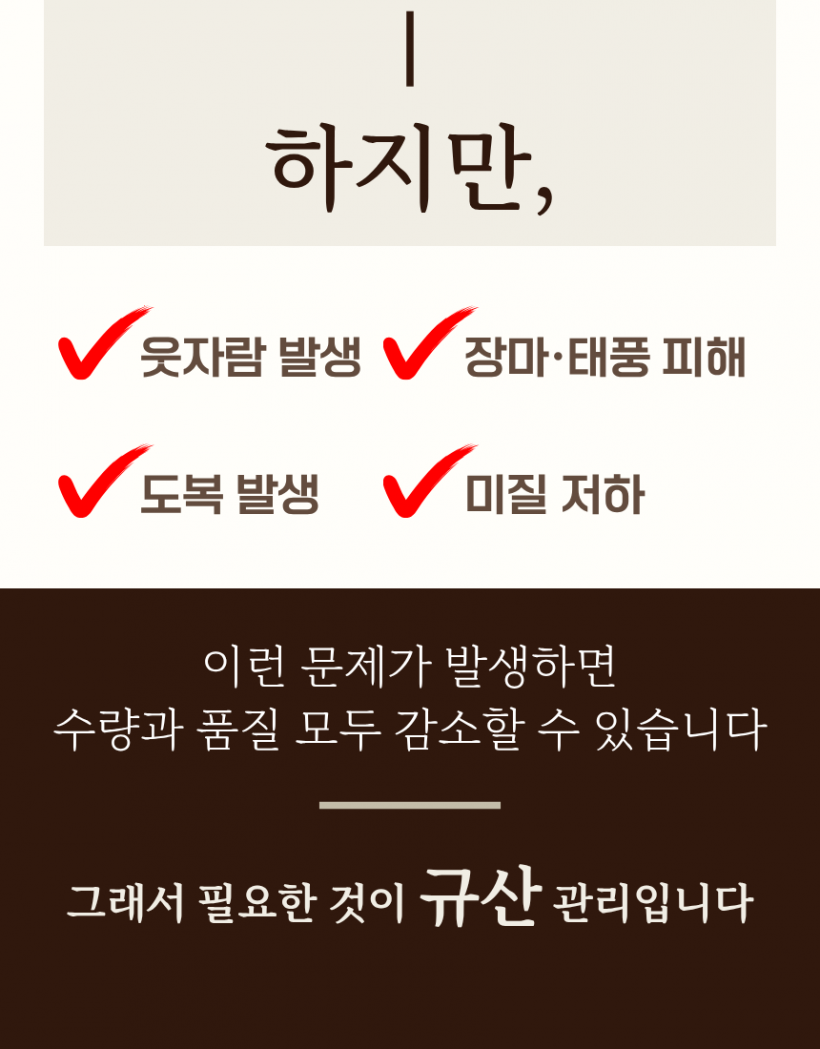 b8396be96d041ae7de185c3d31b7418f_1780991659_2604.png