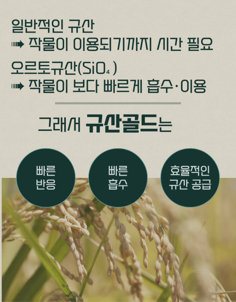 b8396be96d041ae7de185c3d31b7418f_1780991659_4522.png
