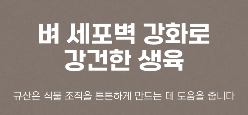 b8396be96d041ae7de185c3d31b7418f_1780991659_5405.png