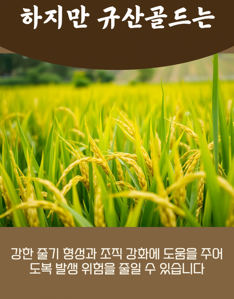 b8396be96d041ae7de185c3d31b7418f_1780991659_915.png