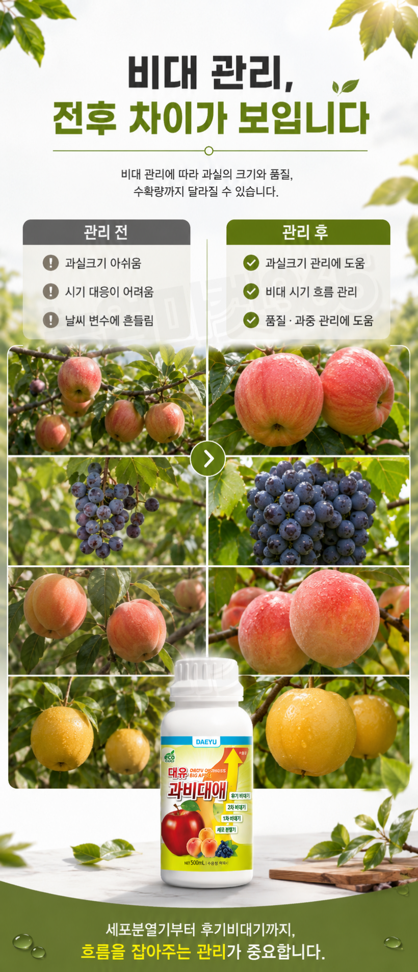 31884b27fc718e723f26cd4c1eaae50a_1785379759_598.png