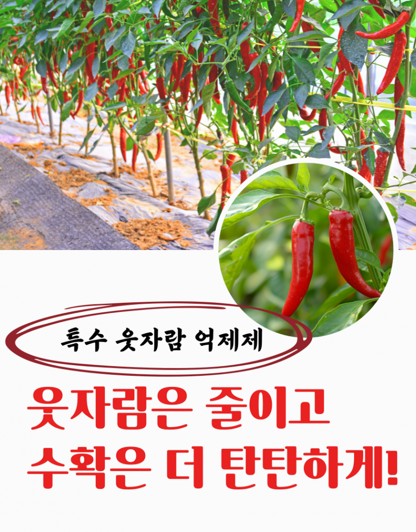a7c13243d2cd61a70faedde1cf890d0c_1784625513_6117.png