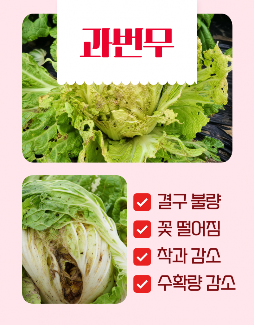 a7c13243d2cd61a70faedde1cf890d0c_1784625523_4884.png
