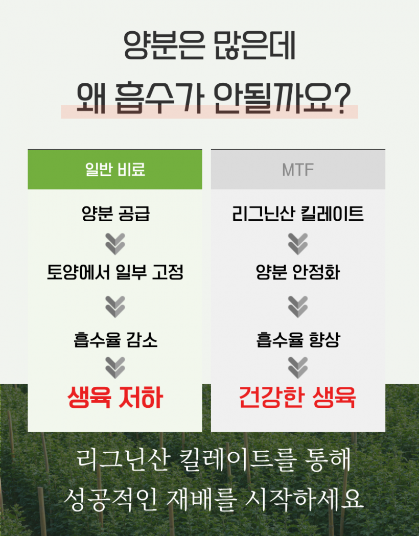 b36e8f04987ac29d5ab6a4844f3618dd_1782888273_5993.png