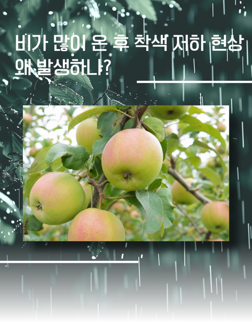 dd755792e06b179226c507474c253c77_1784704636_4619.png