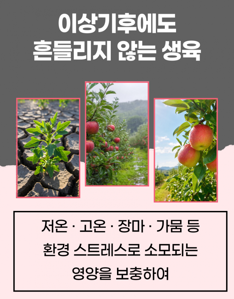 ec4610cc900251790f98d62e7ddd6f3d_1783662948_3074.png