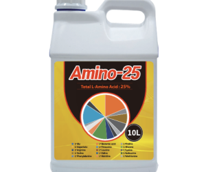 [그린피아아그로] Amino-25 10L 액제 [80,000원]