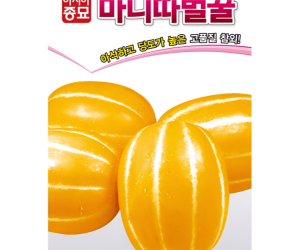 [아시아종묘] 참외-마니따벌꿀 50립 500립