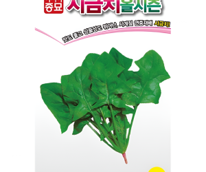 [아시아종묘] 시금치-올시즌 [20g, 500g]