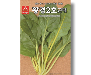 [아시아종묘] 근대-황경2호 250g [50,000원]